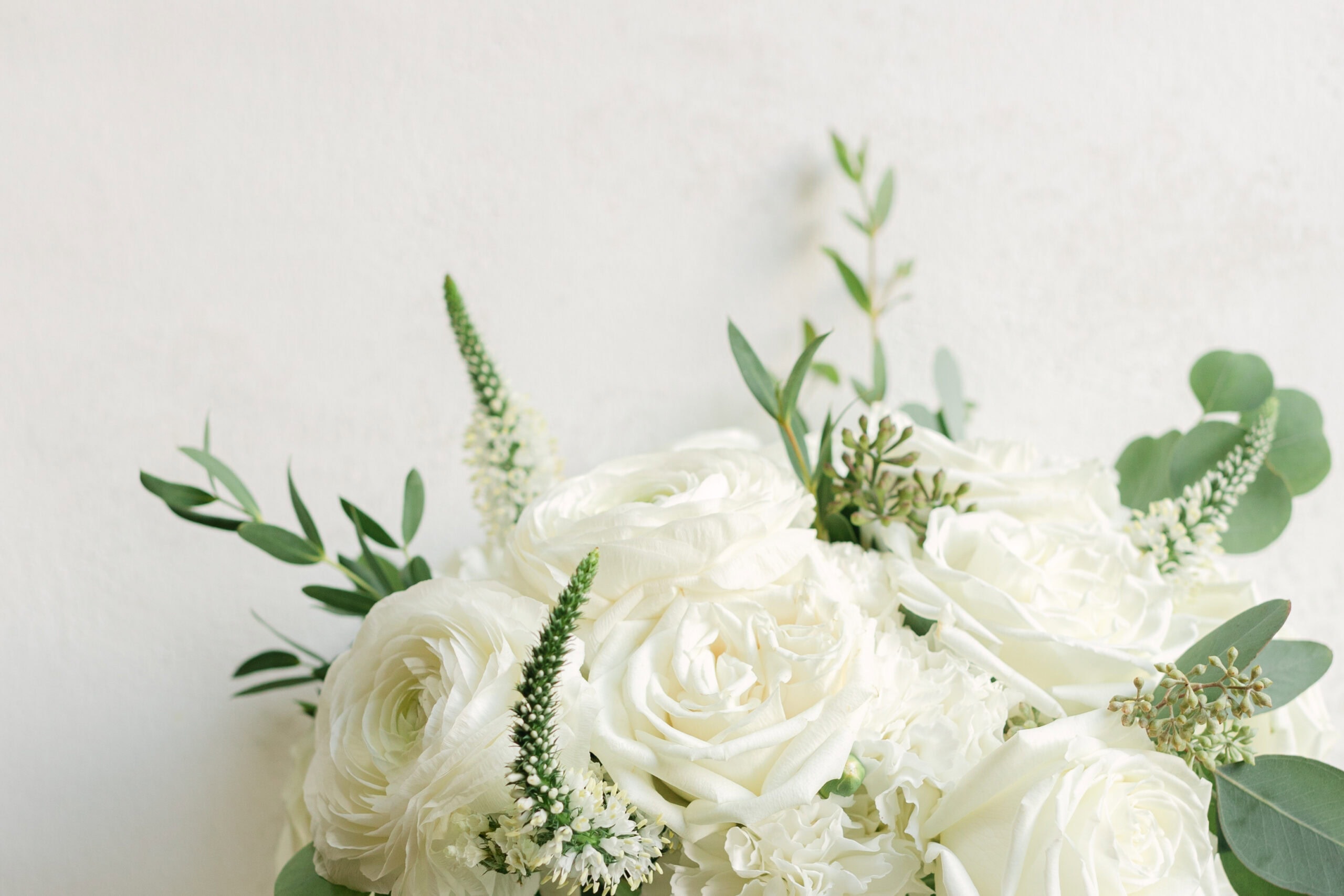 2024 © Ashley Foreman