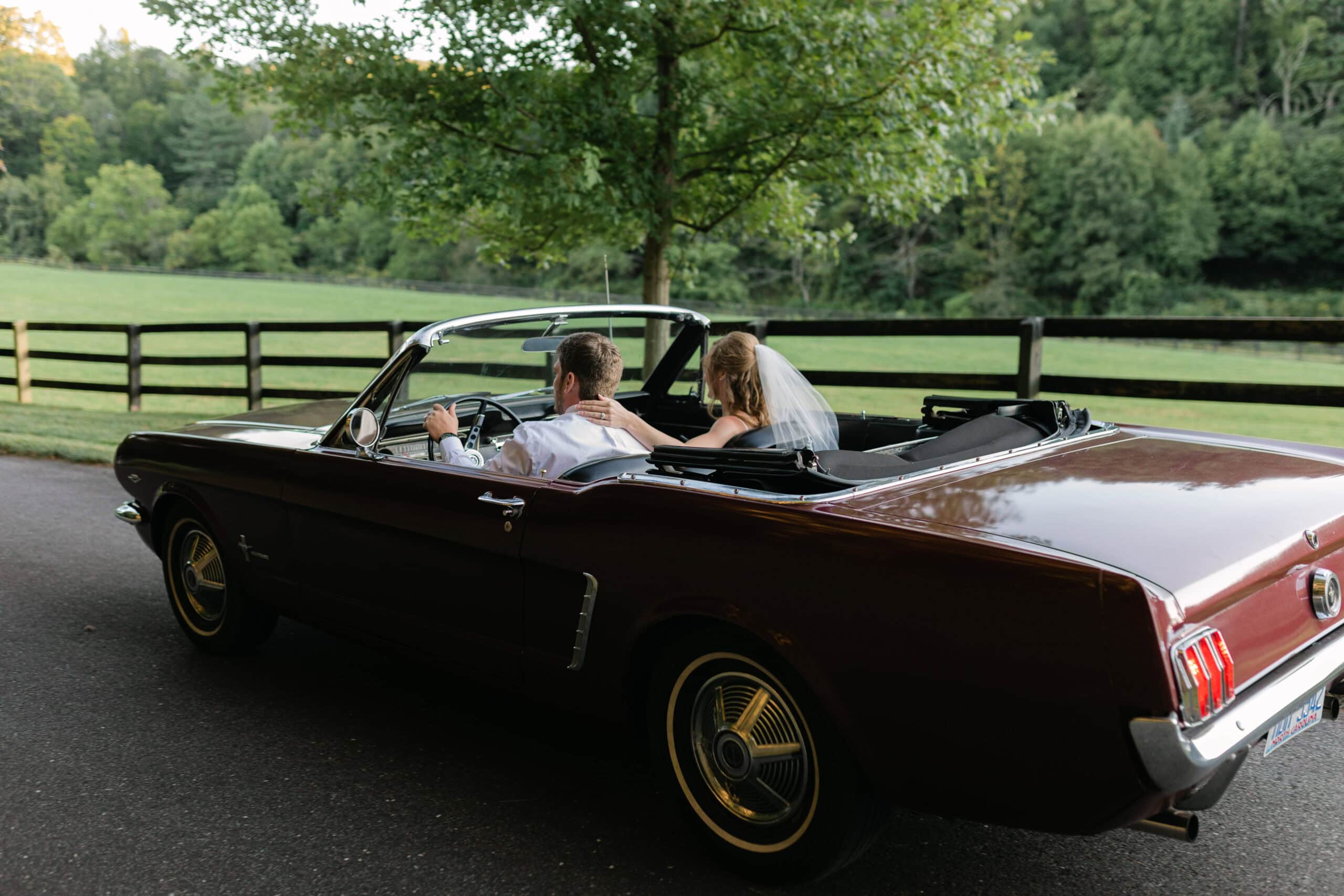 2024 © Ashley Foreman