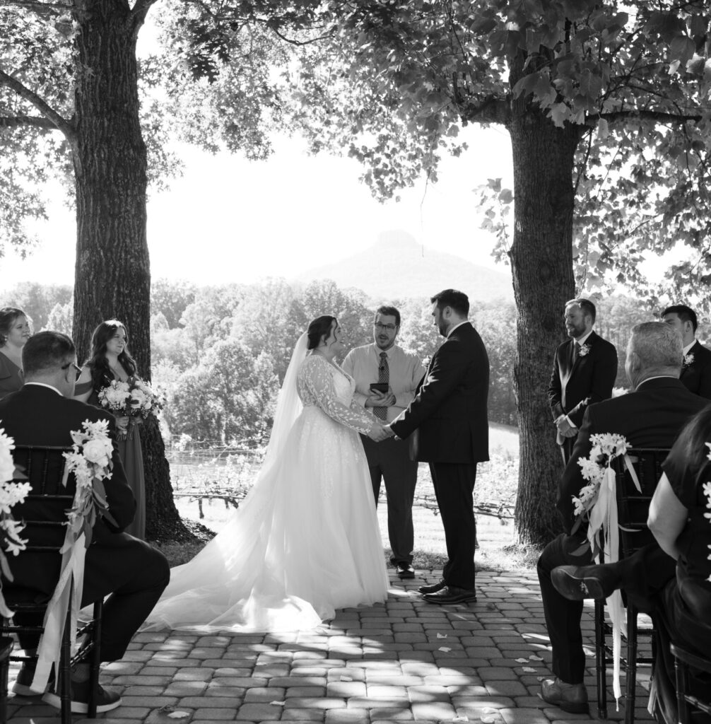 2025 © Ashley Logan Photography pilot mountain vineyard wedding